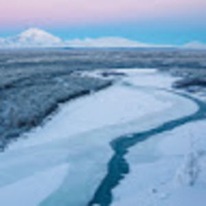 Meet your Posher, Marcella